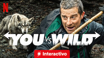 You vs. Wild (2019)