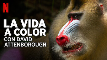 La vida a color con David Attenborough (2021)